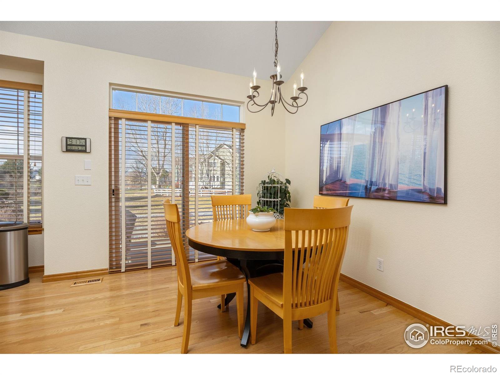 MLS Image #9 for 913  ninebark lane,longmont, Colorado
