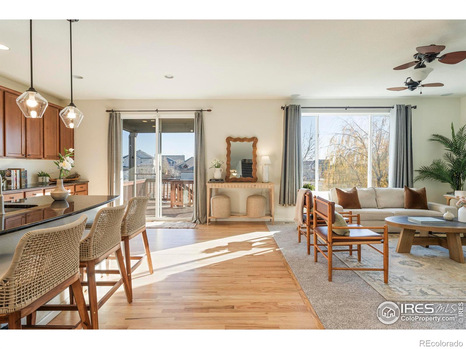 MLS Image #11 for 13420  spruce street,thornton, Colorado