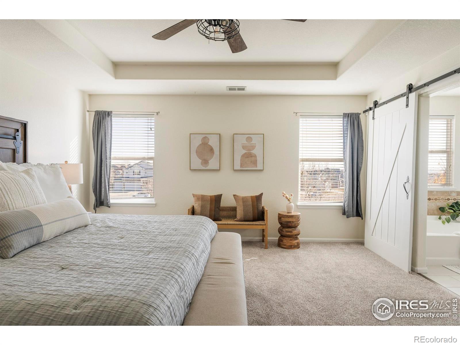 MLS Image #20 for 13420  spruce street,thornton, Colorado