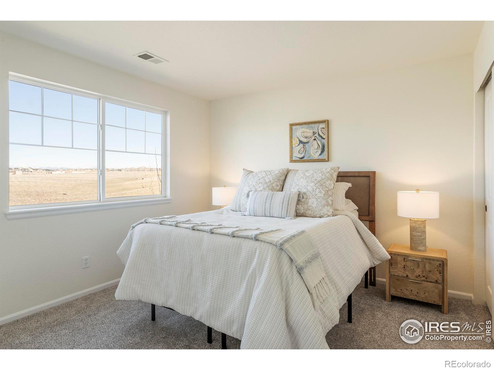 MLS Image #26 for 13420  spruce street,thornton, Colorado