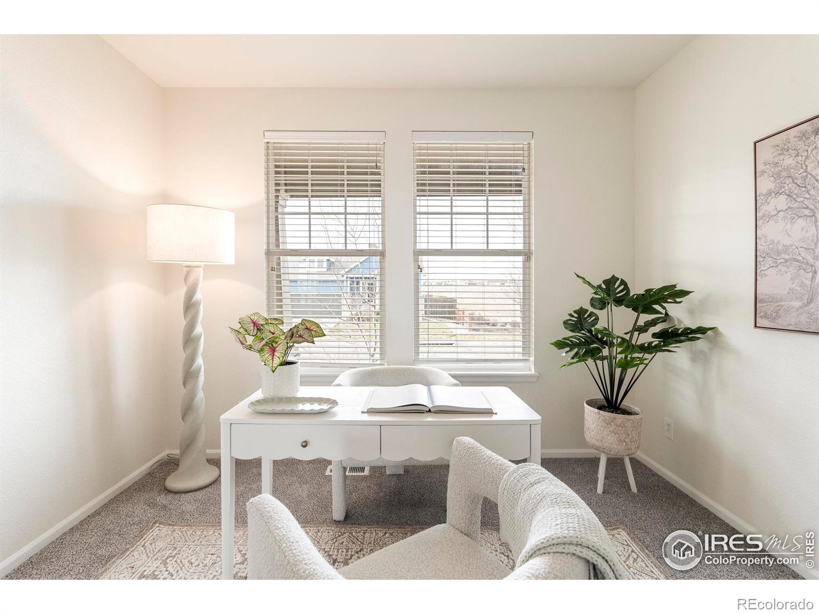 MLS Image #7 for 13420  spruce street,thornton, Colorado
