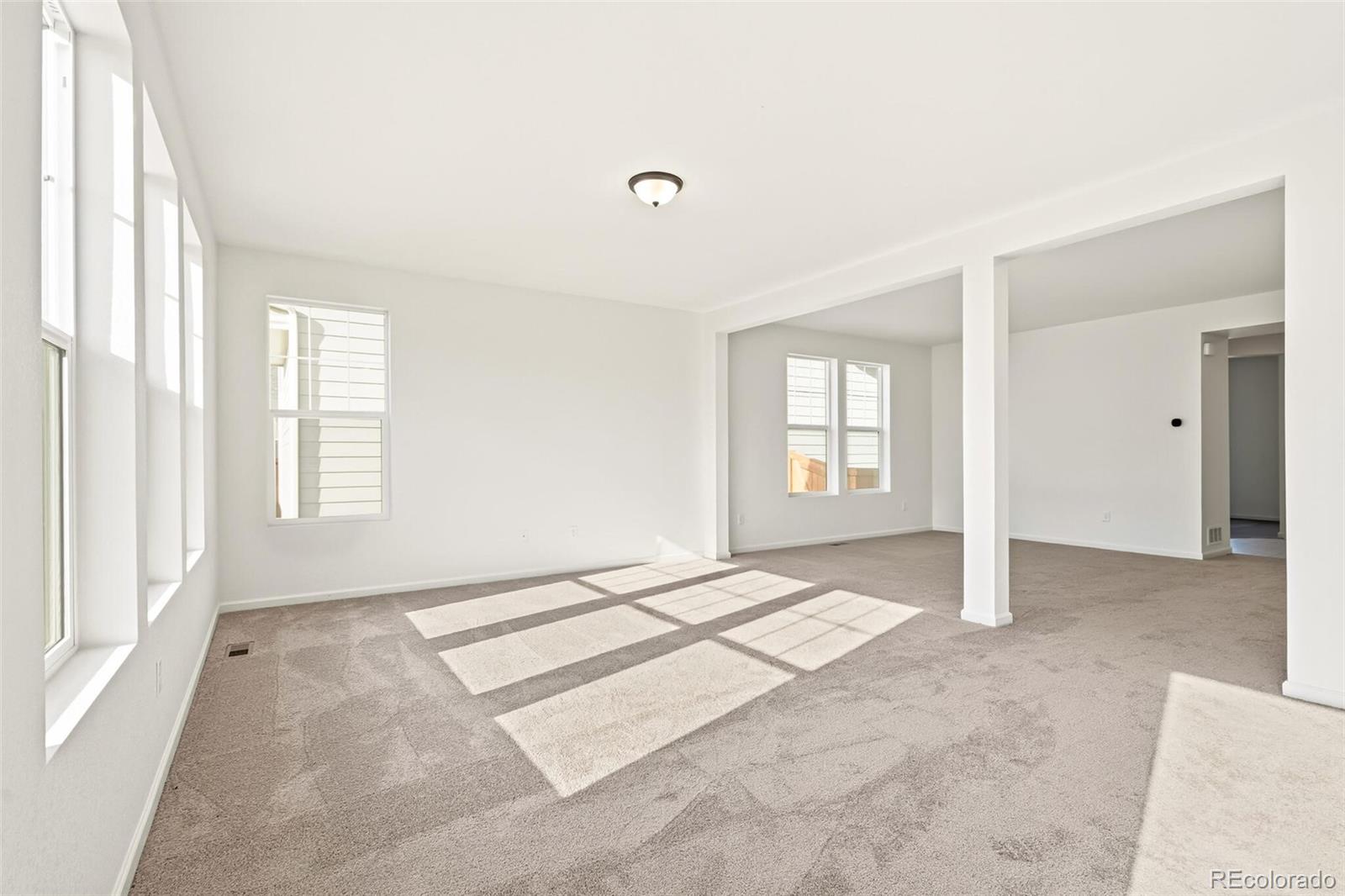 MLS Image #5 for 1596  orchard street,brighton, Colorado