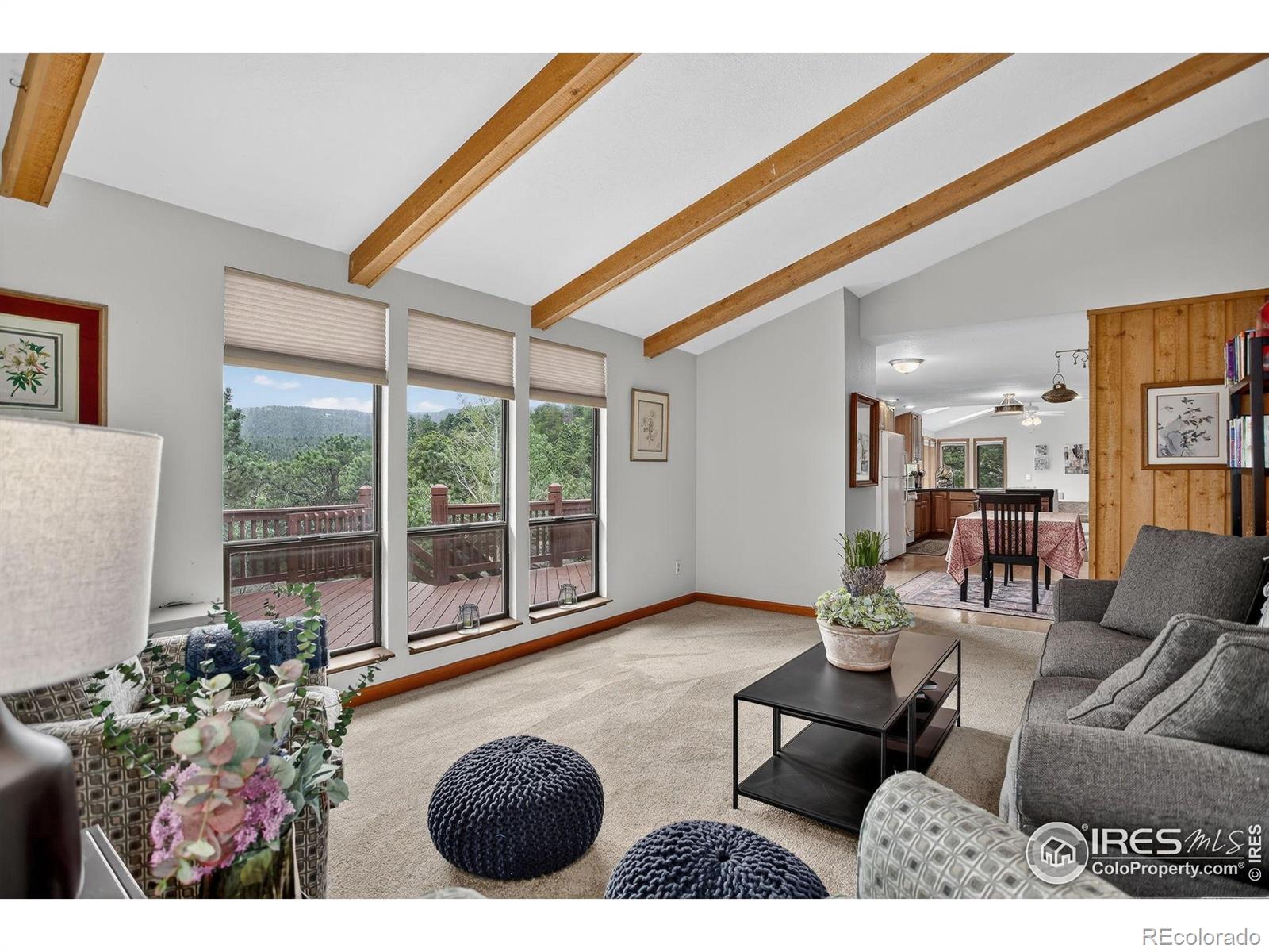 MLS Image #3 for 31911  warrens road,golden, Colorado