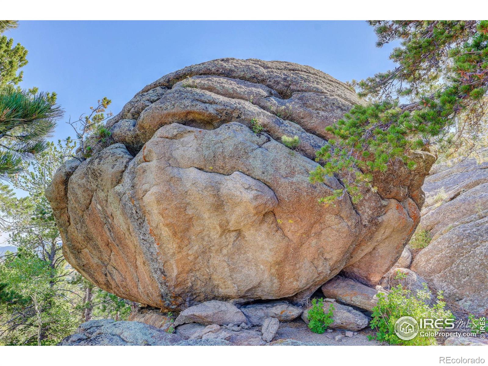 MLS Image #6 for 31911  warrens road,golden, Colorado