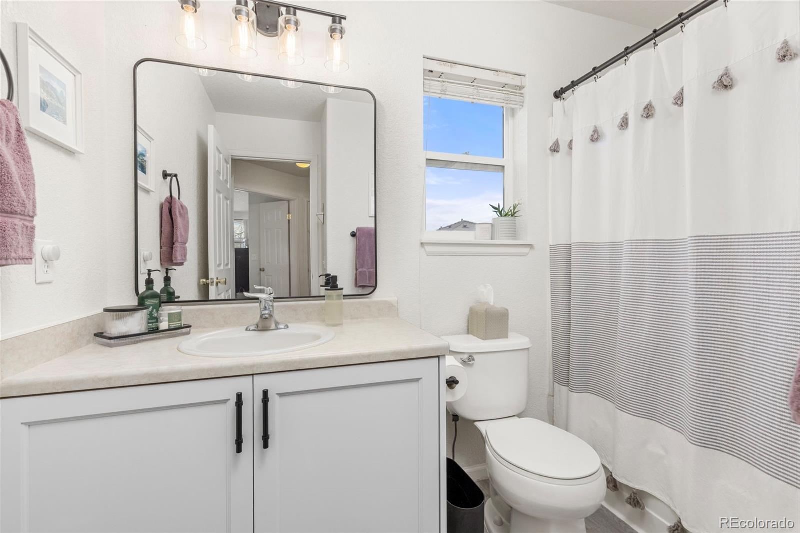 MLS Image #22 for 18869 e 52nd avenue,denver, Colorado