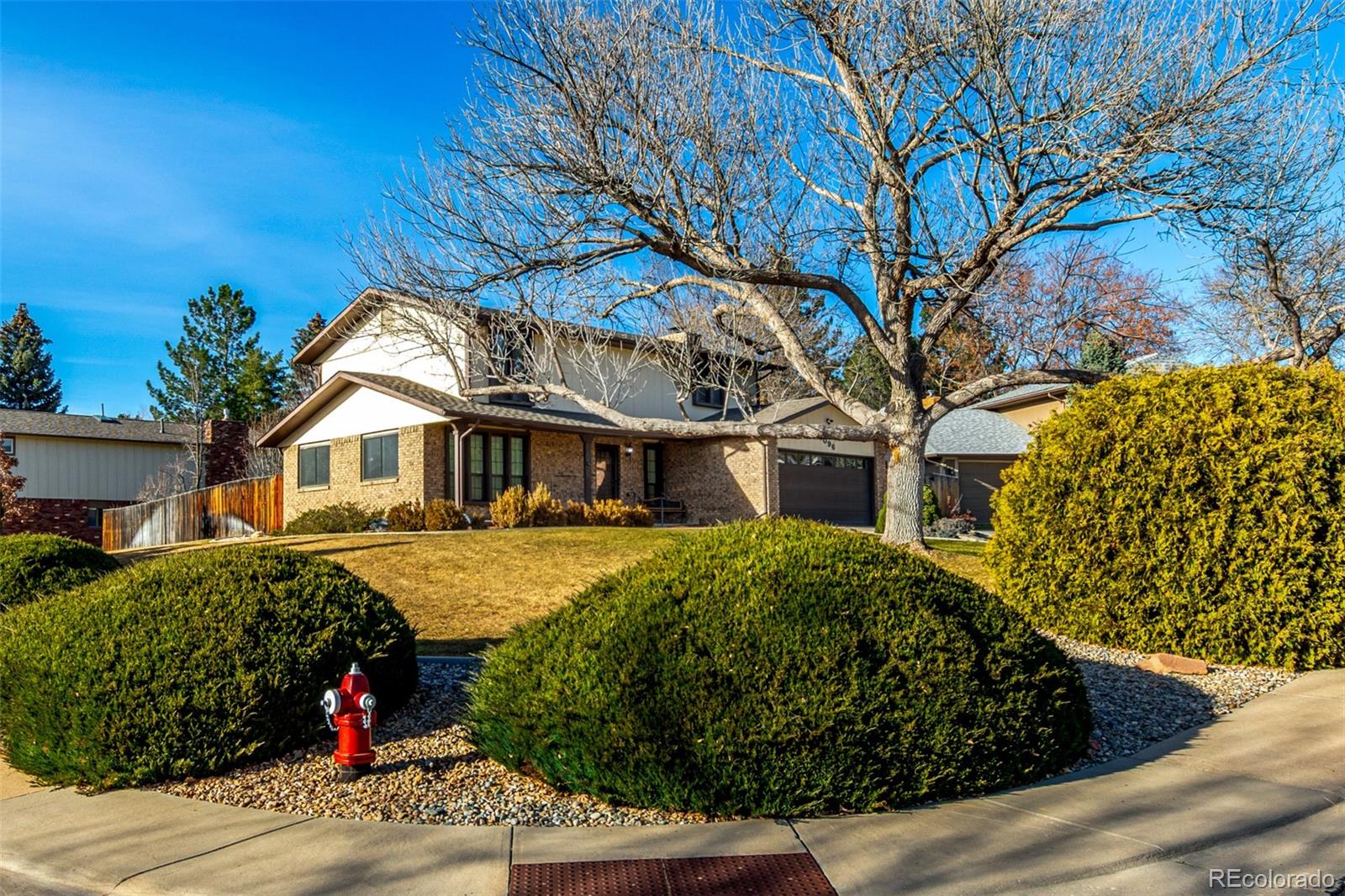 MLS Image #2 for 1096  princeton drive,longmont, Colorado