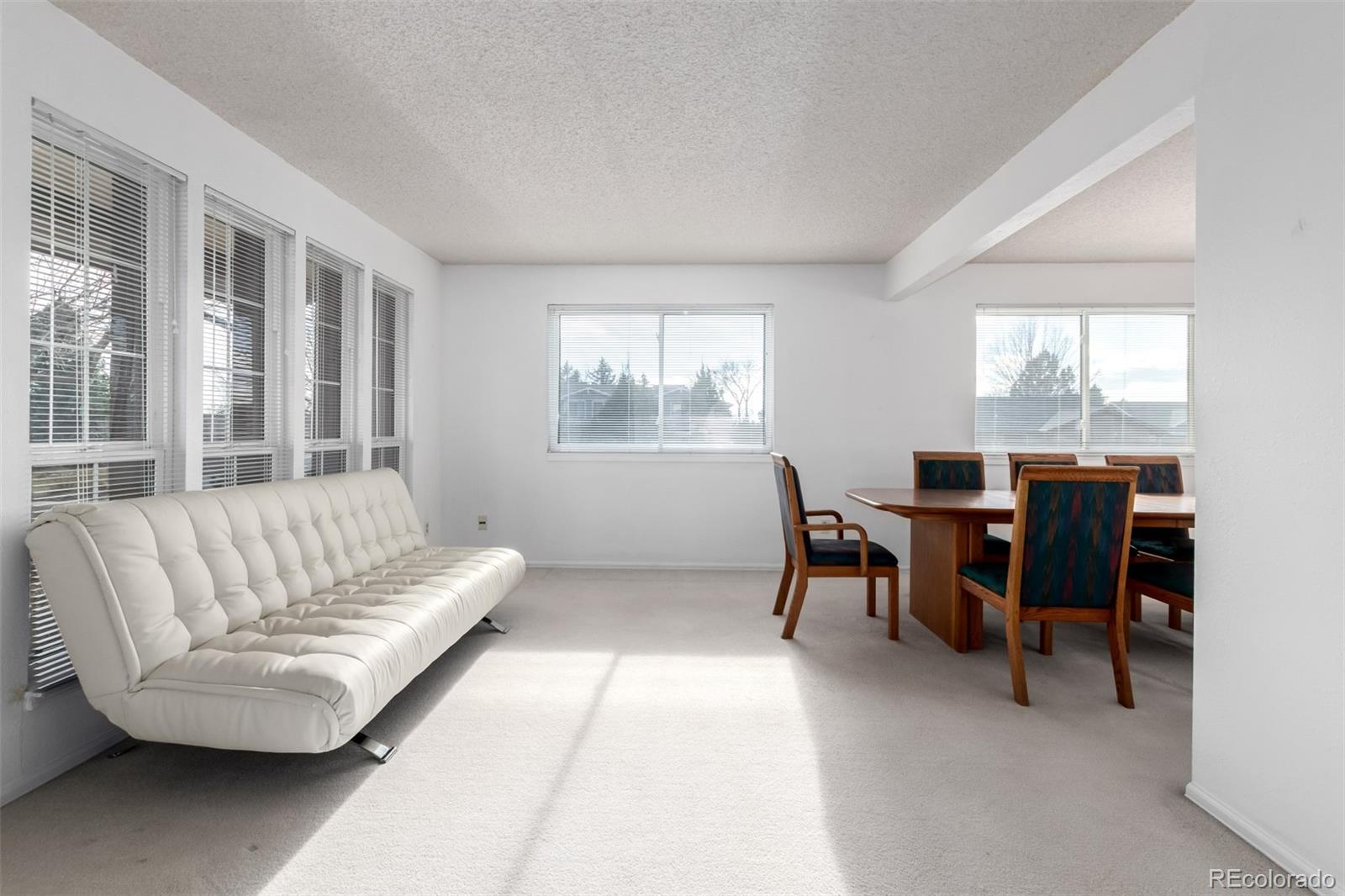MLS Image #5 for 1096  princeton drive,longmont, Colorado