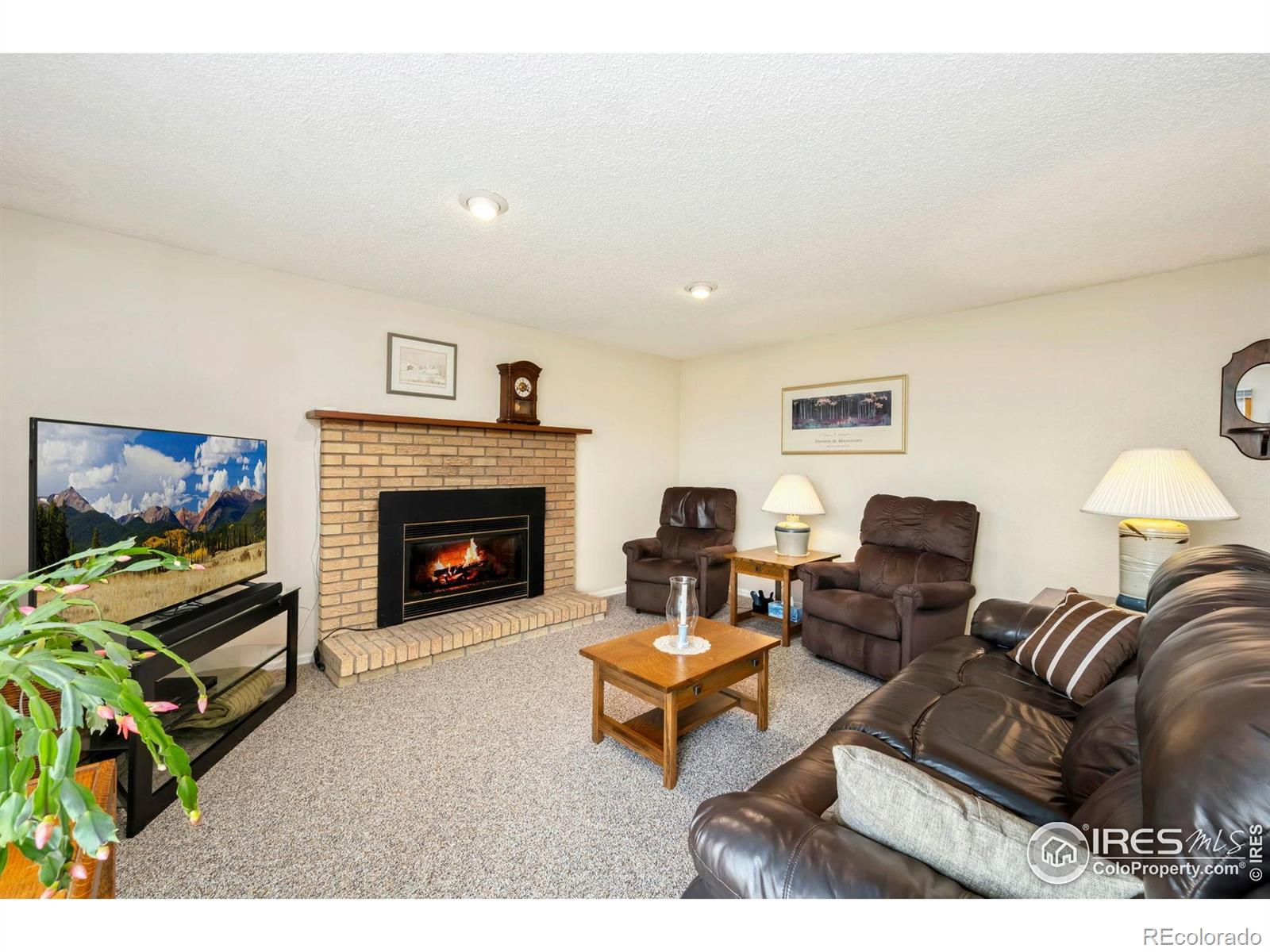 MLS Image #15 for 3668  sheridan avenue,loveland, Colorado