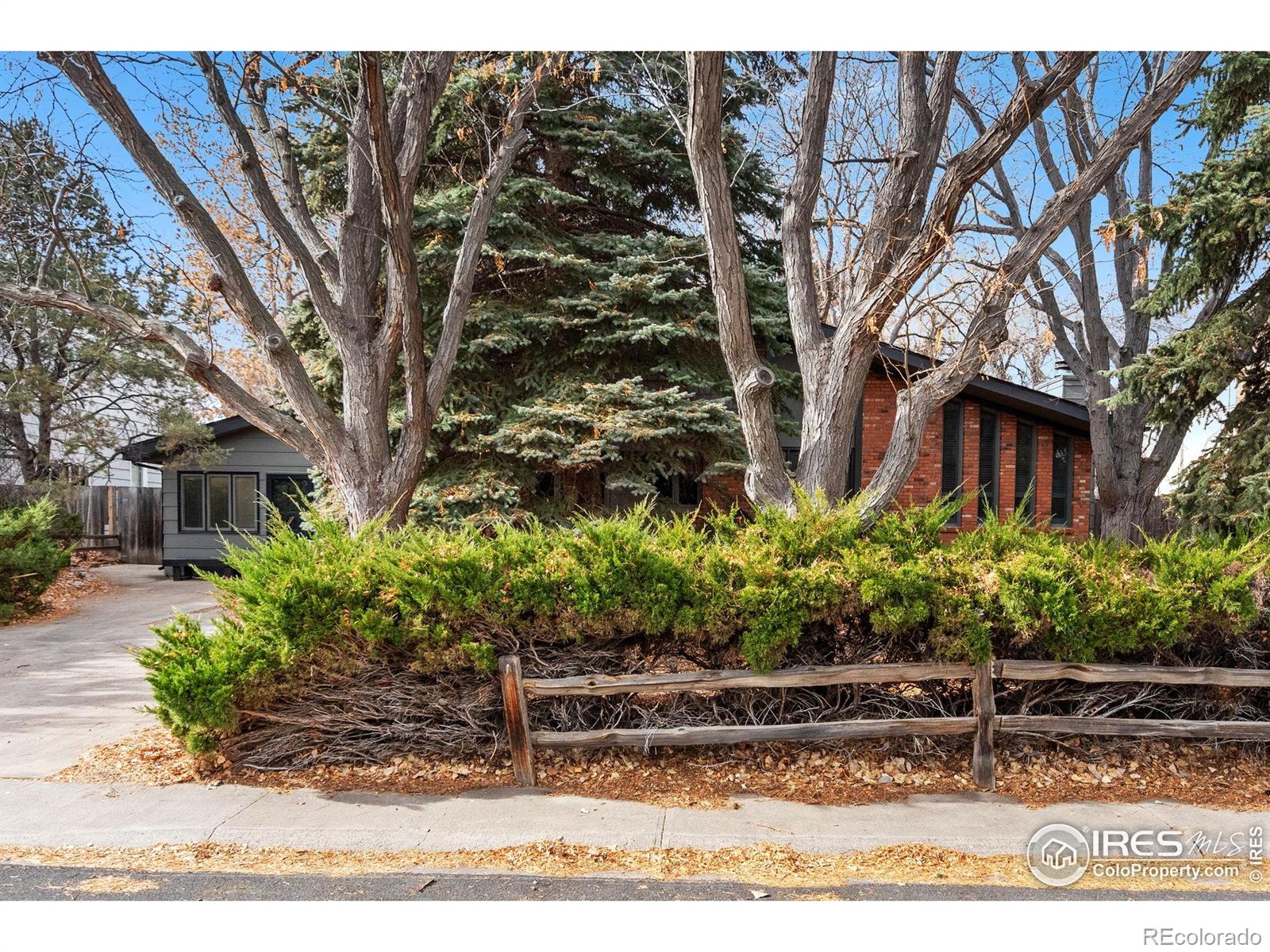 MLS Image #1 for 3013  meadowlark avenue,fort collins, Colorado