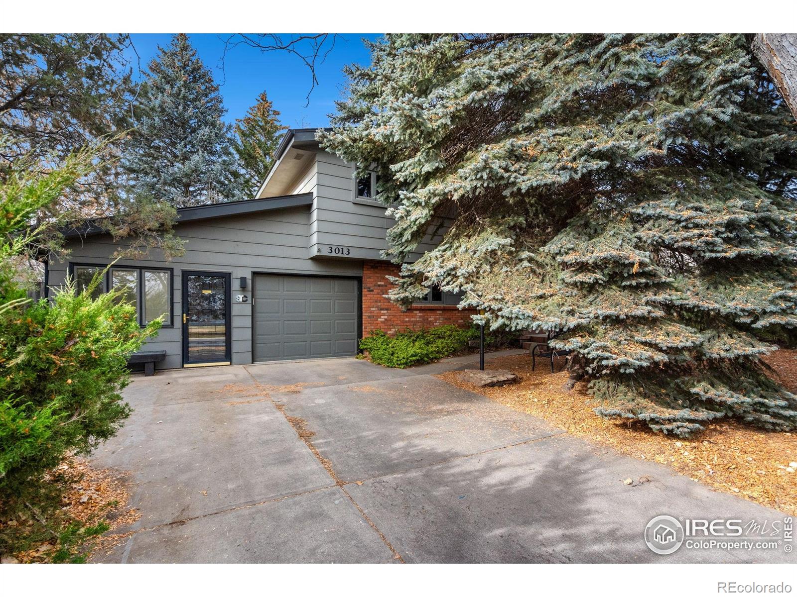 MLS Image #2 for 3013  meadowlark avenue,fort collins, Colorado