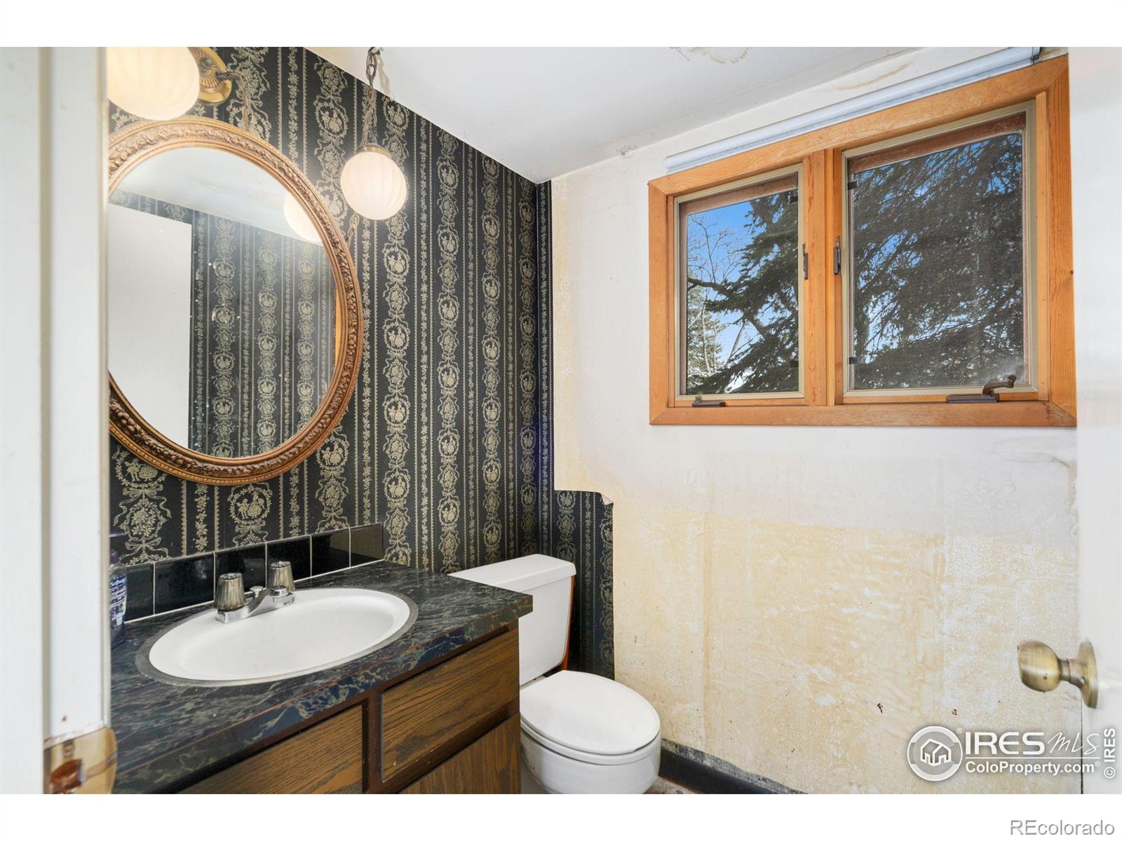 MLS Image #23 for 3013  meadowlark avenue,fort collins, Colorado