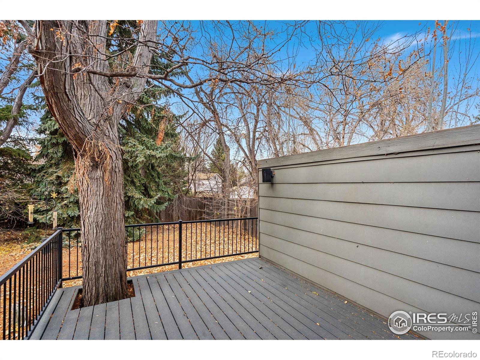 MLS Image #32 for 3013  meadowlark avenue,fort collins, Colorado