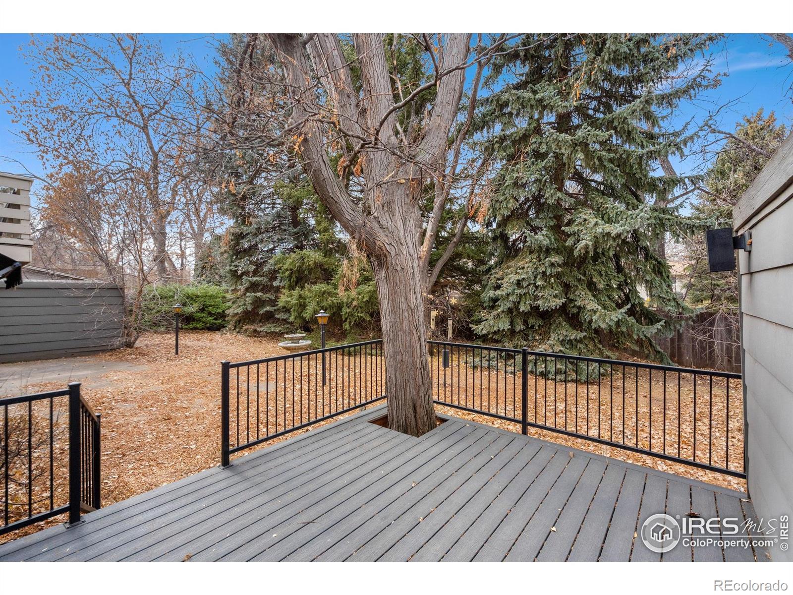 MLS Image #33 for 3013  meadowlark avenue,fort collins, Colorado