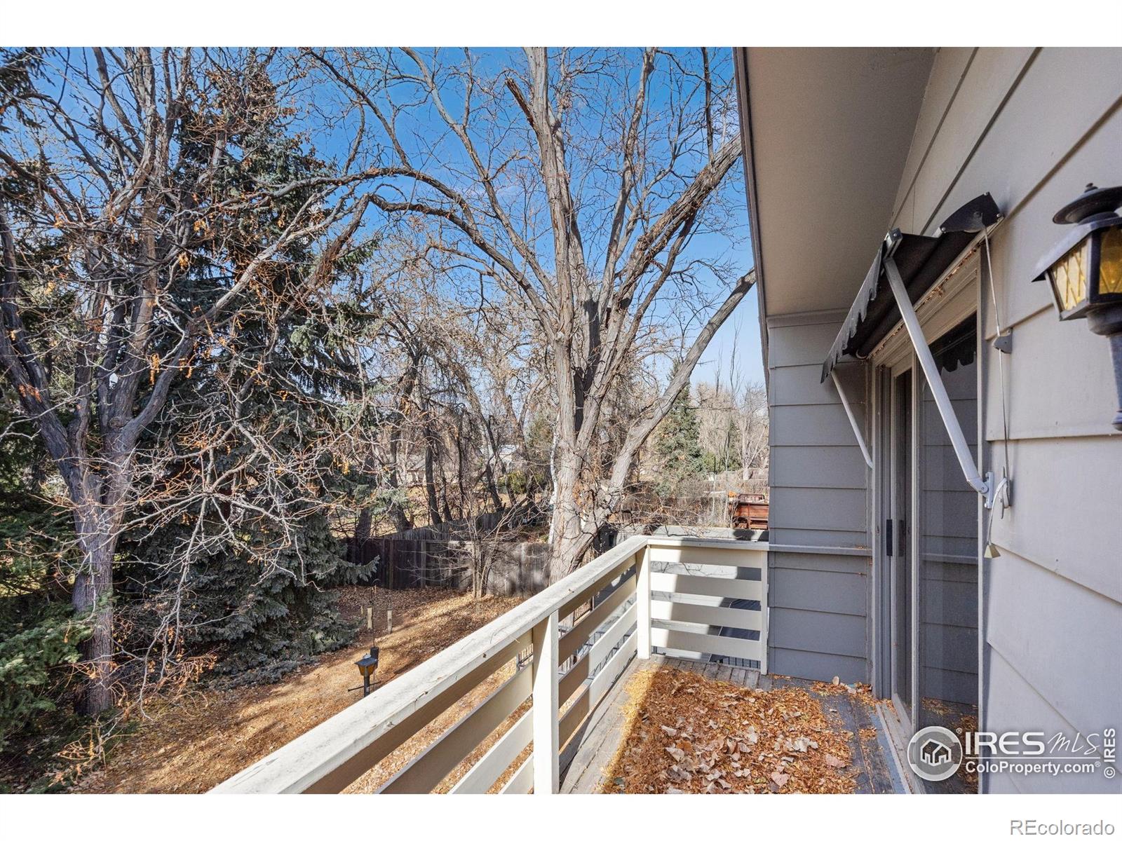 MLS Image #39 for 3013  meadowlark avenue,fort collins, Colorado