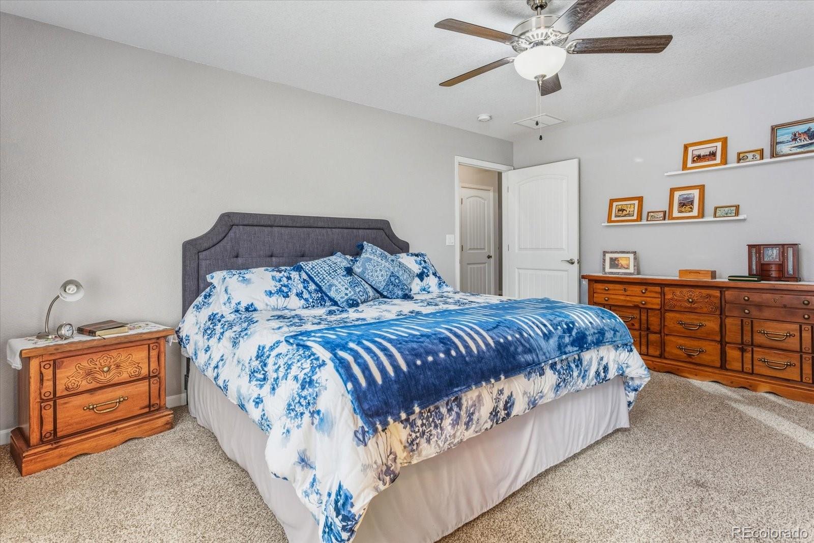 MLS Image #18 for 1115 e sabeta avenue,poncha springs, Colorado