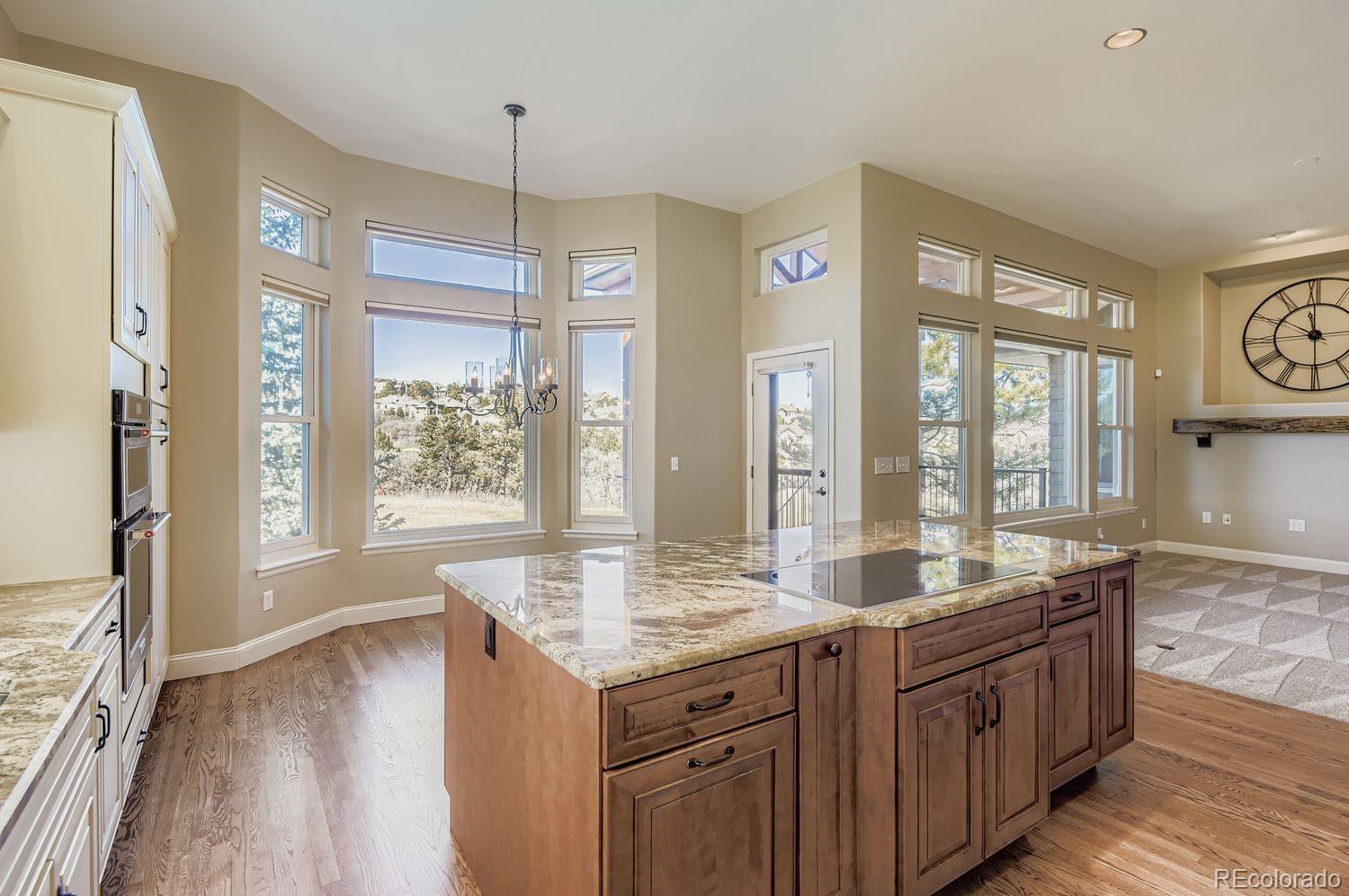 MLS Image #18 for 1055  deer clover way,castle pines, Colorado