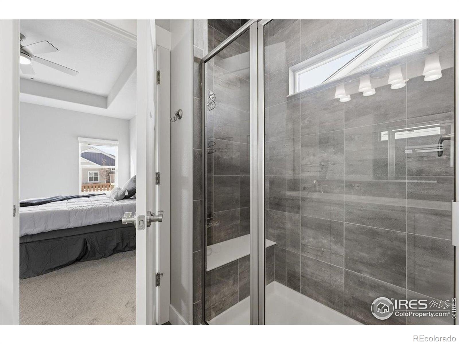 MLS Image #19 for 5039  long drive,timnath, Colorado