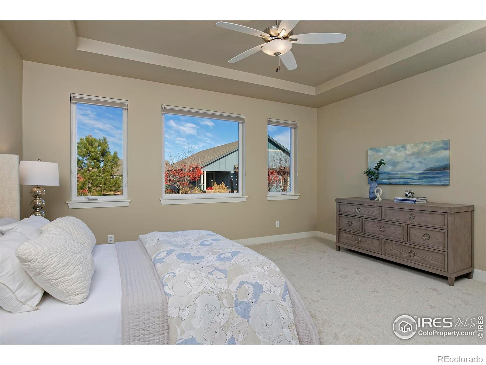 MLS Image #16 for 6984  foxton court,timnath, Colorado