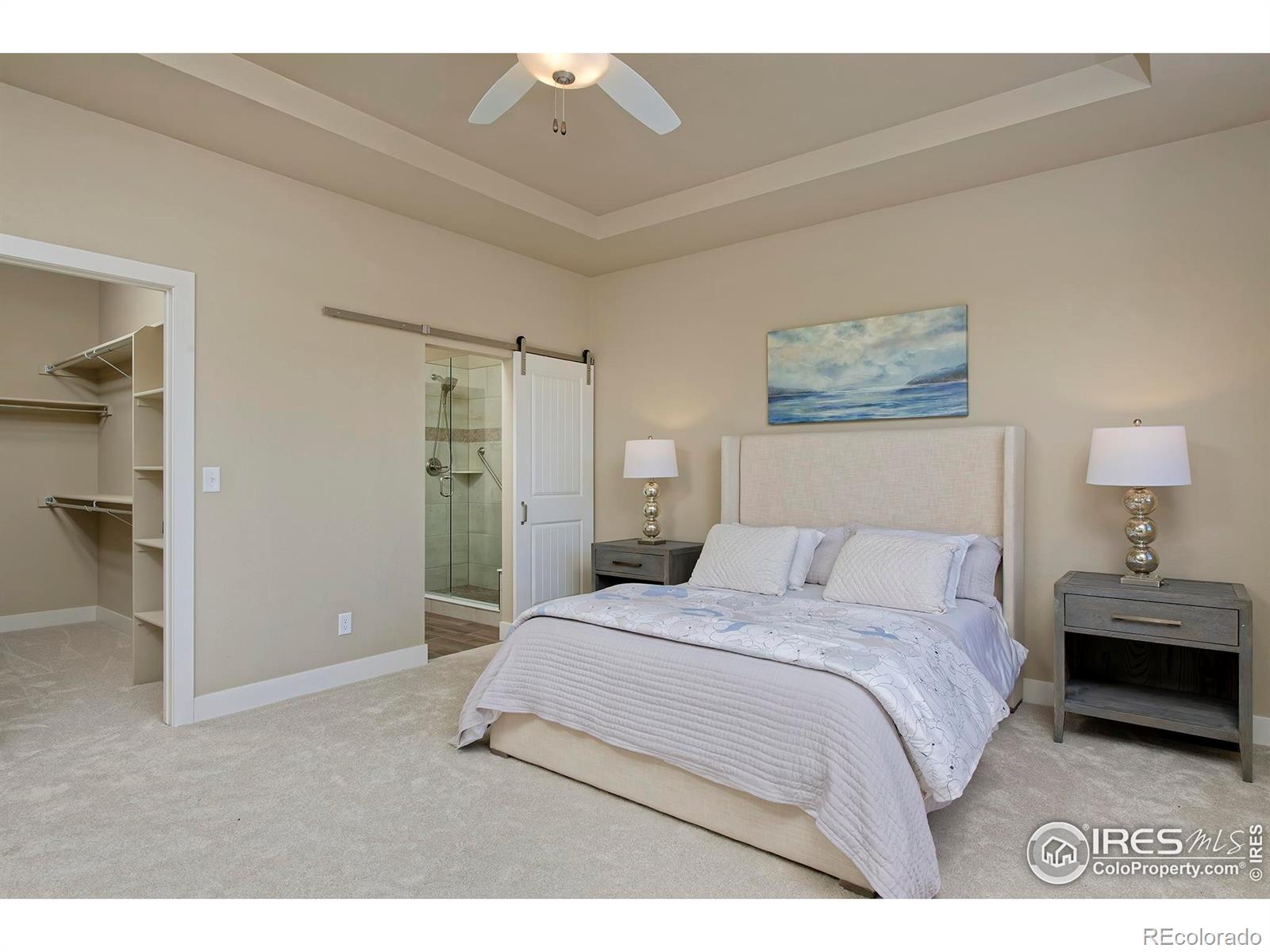 MLS Image #17 for 6984  foxton court,timnath, Colorado