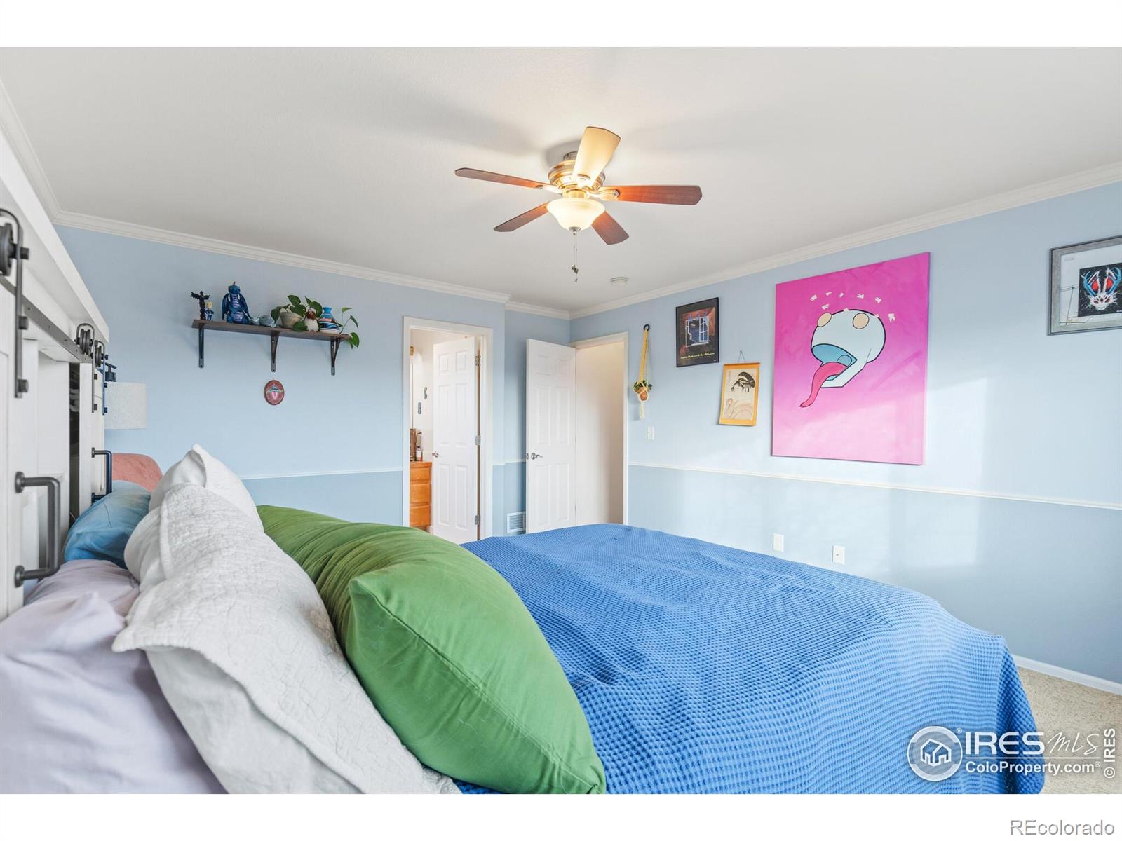 MLS Image #12 for 206  windflower way,severance, Colorado
