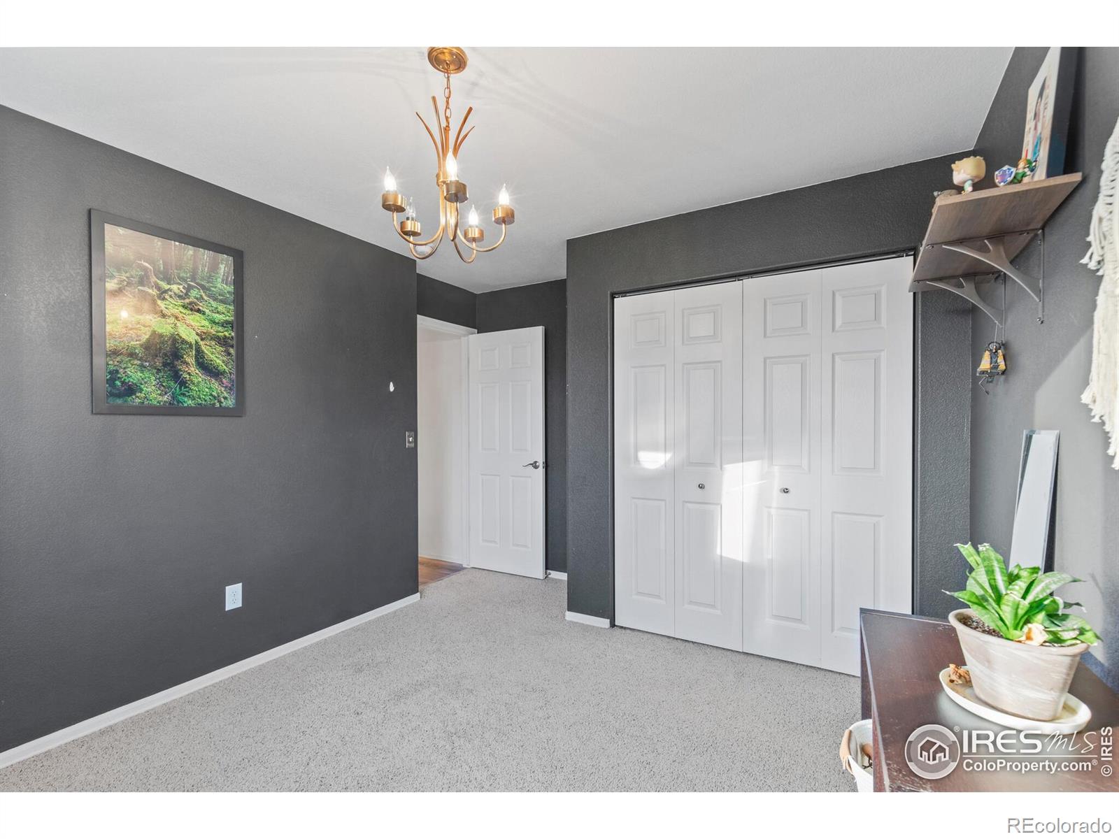 MLS Image #15 for 206  windflower way,severance, Colorado