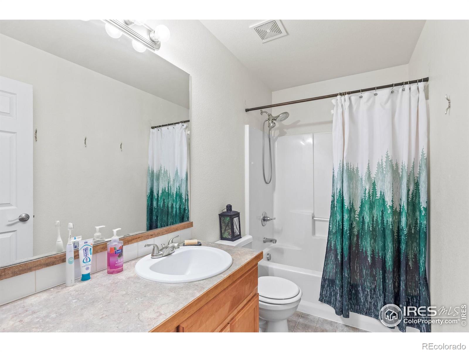 MLS Image #17 for 206  windflower way,severance, Colorado