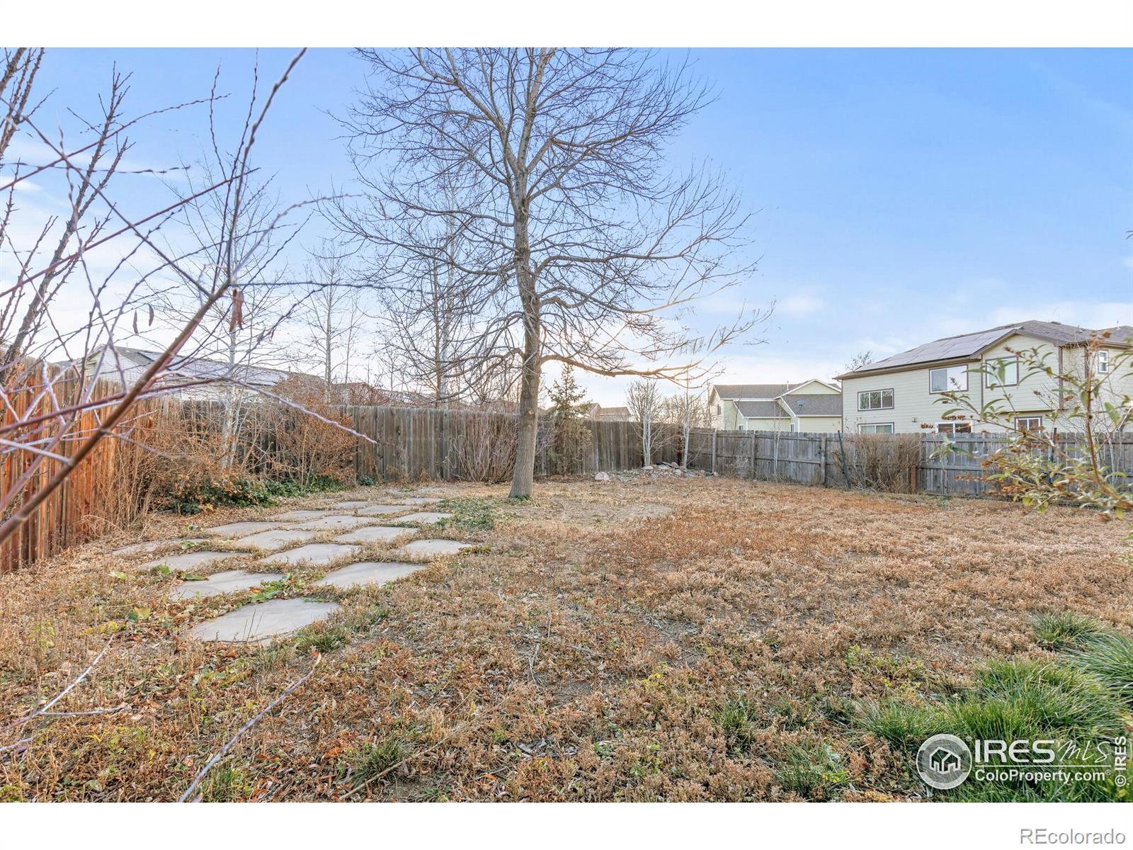 MLS Image #31 for 206  windflower way,severance, Colorado