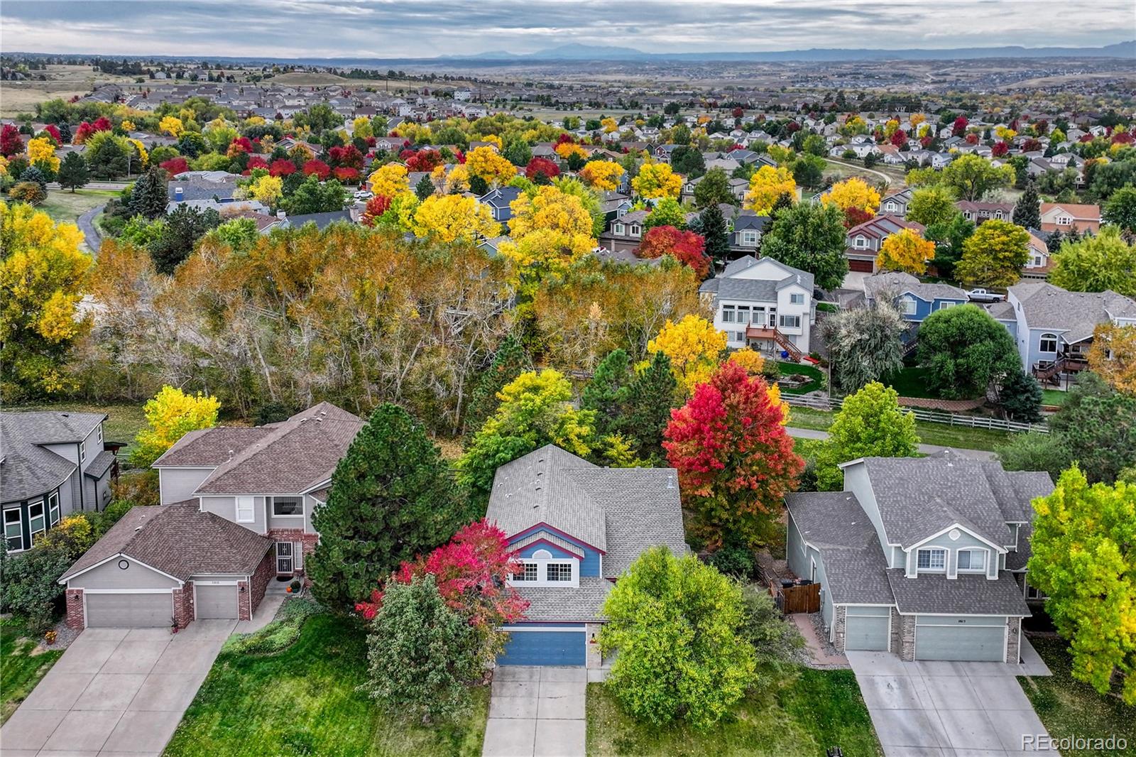 MLS Image #44 for 11617  pine grove lane,parker, Colorado