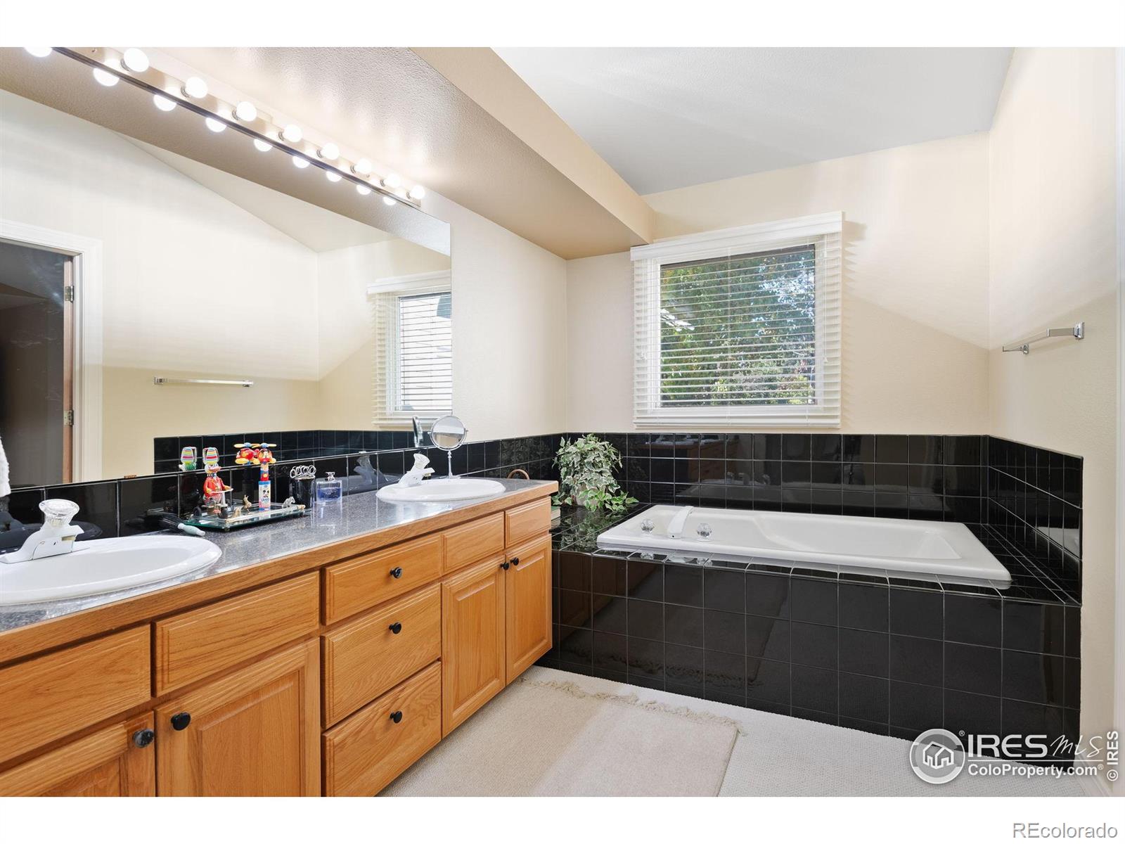 MLS Image #19 for 4513  seaboard lane,fort collins, Colorado