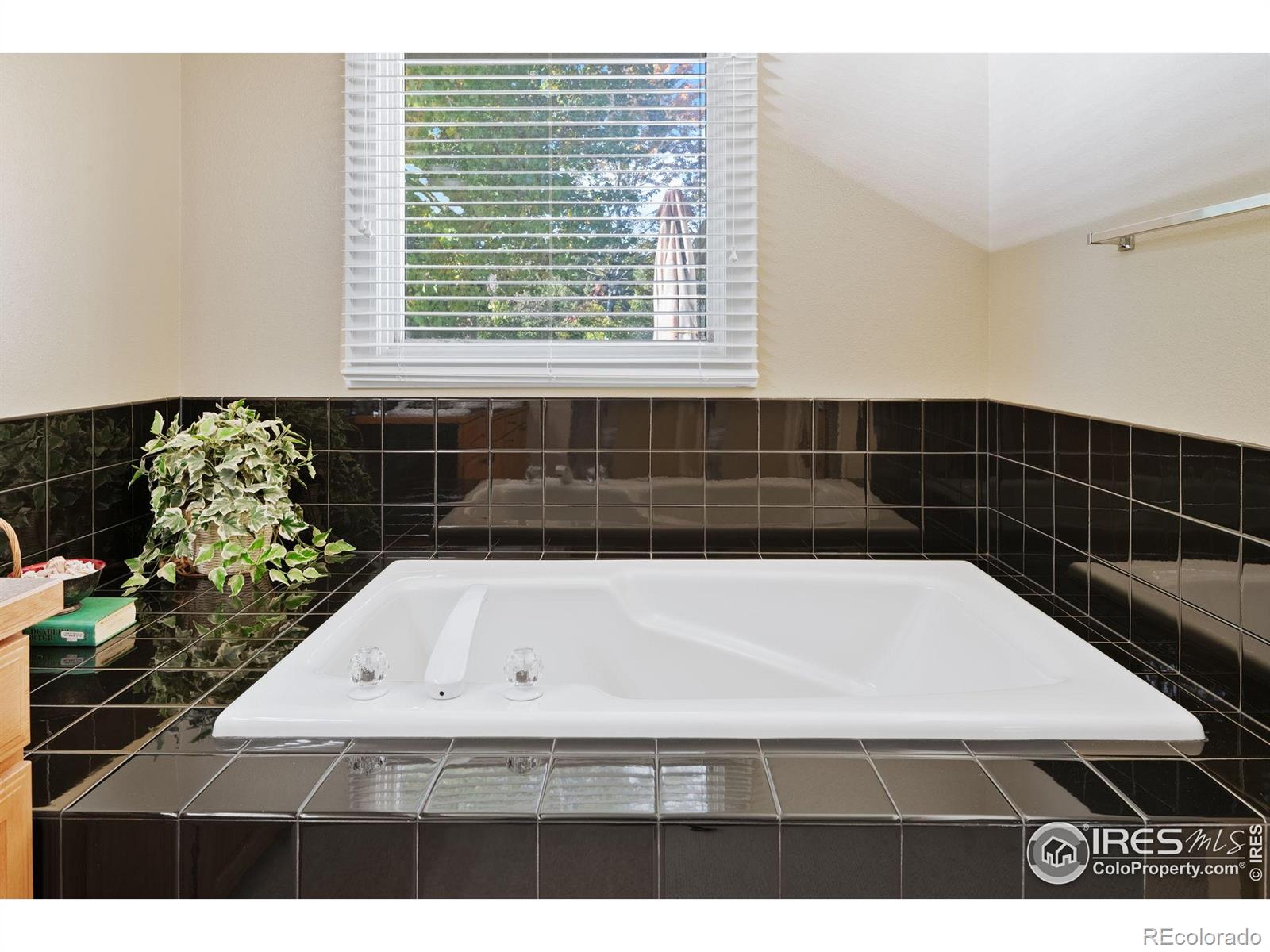 MLS Image #20 for 4513  seaboard lane,fort collins, Colorado