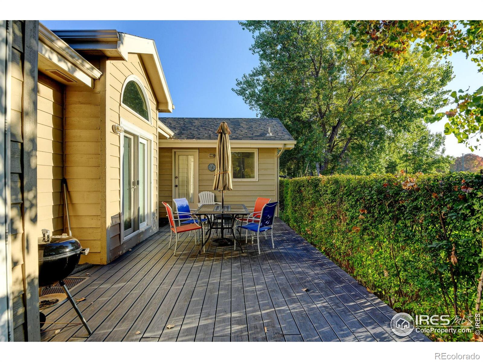 MLS Image #29 for 4513  seaboard lane,fort collins, Colorado