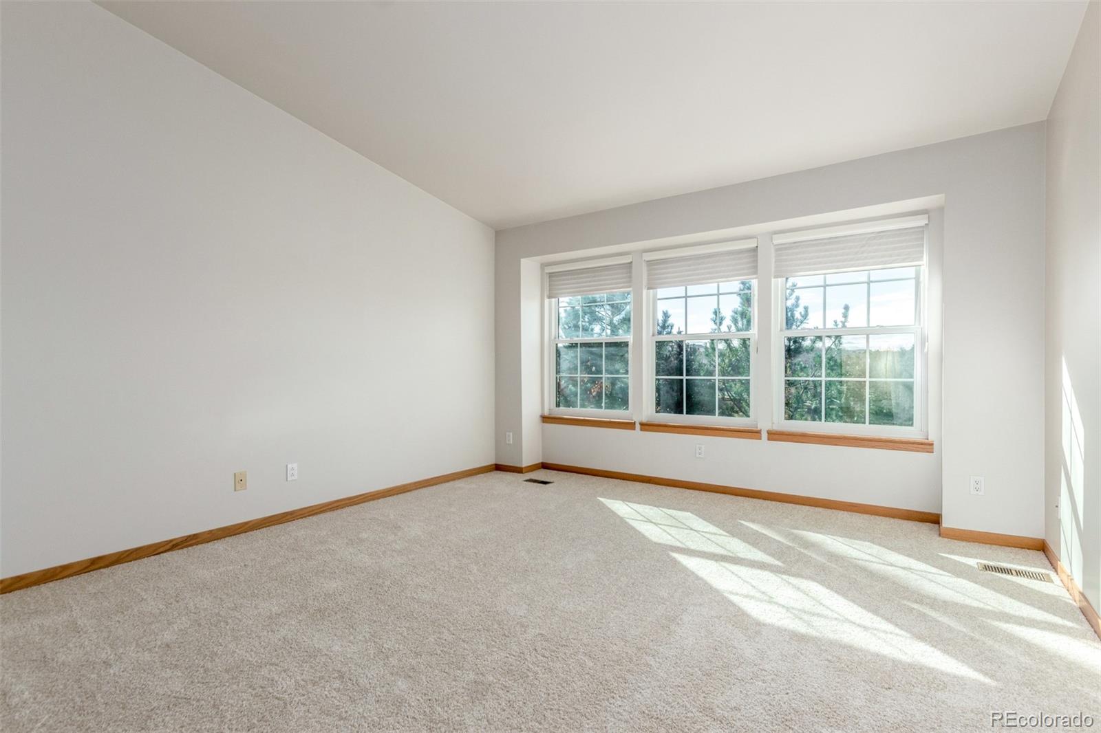 MLS Image #14 for 8822  fiesta terrace ,lone tree, Colorado