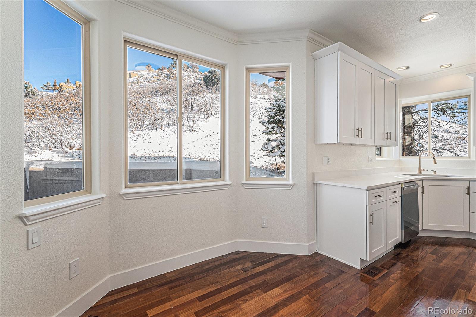 MLS Image #6 for 6380  spotted fawn run,littleton, Colorado