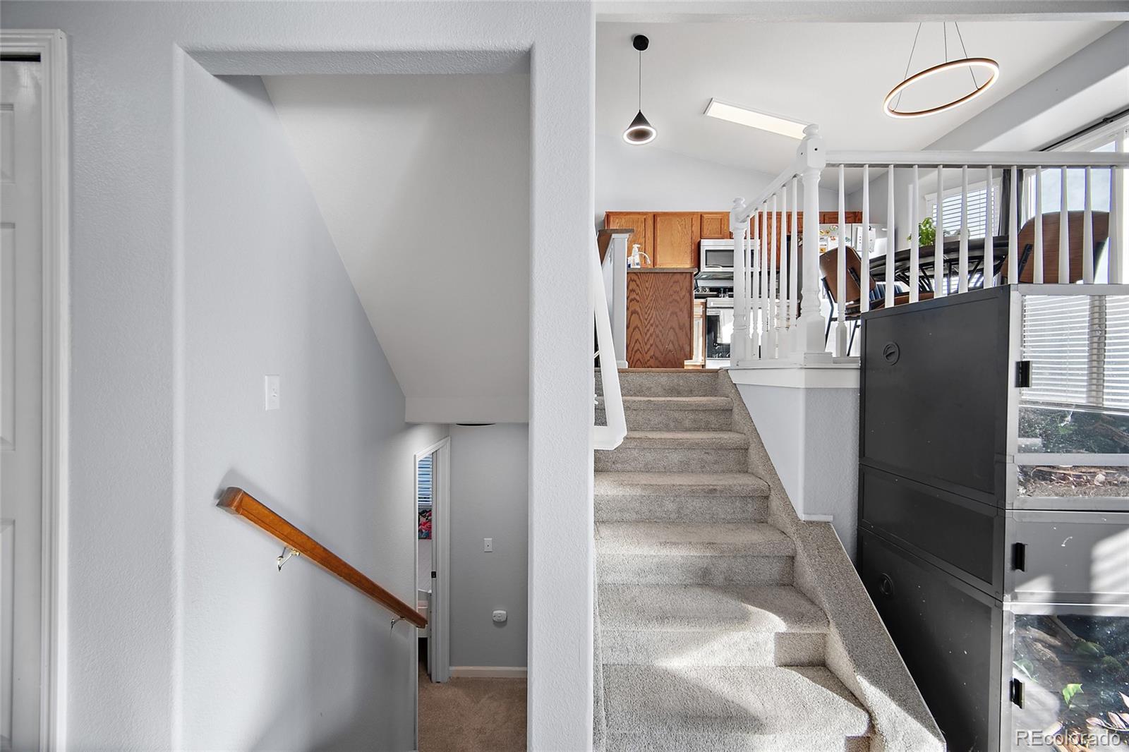 MLS Image #20 for 7247  coral ridge drive,colorado springs, Colorado