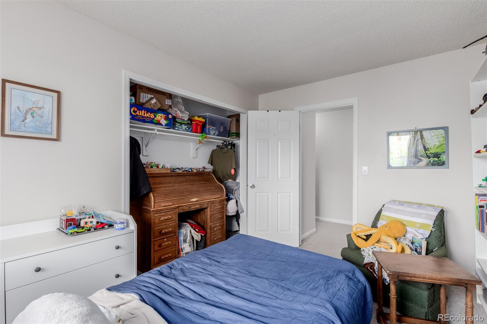 MLS Image #29 for 5199 s yampa circle,centennial, Colorado