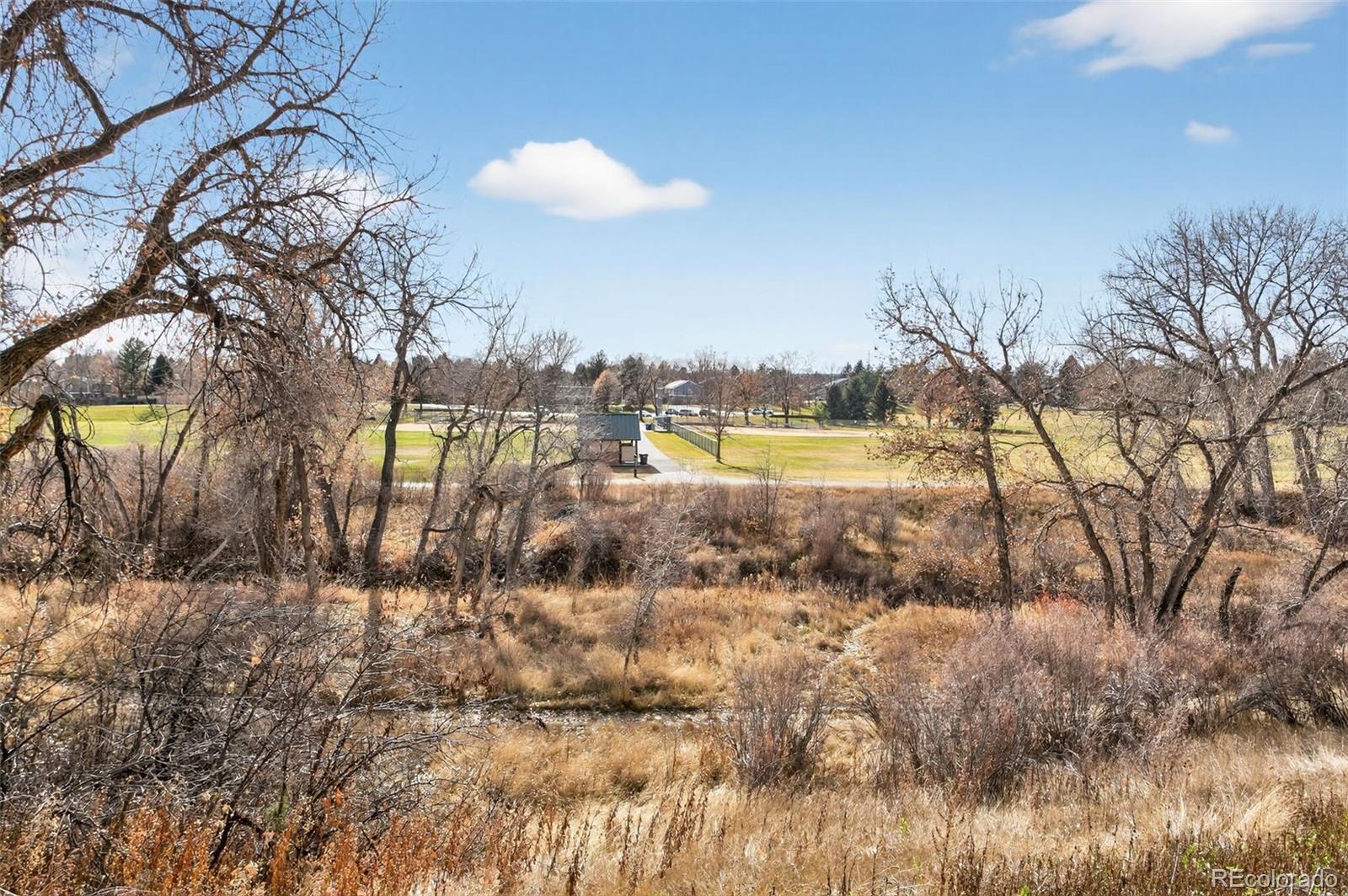 MLS Image #28 for 7933 s trenton street,centennial, Colorado