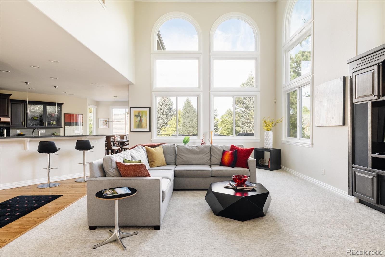 MLS Image #9 for 5301 s birch court,greenwood village, Colorado