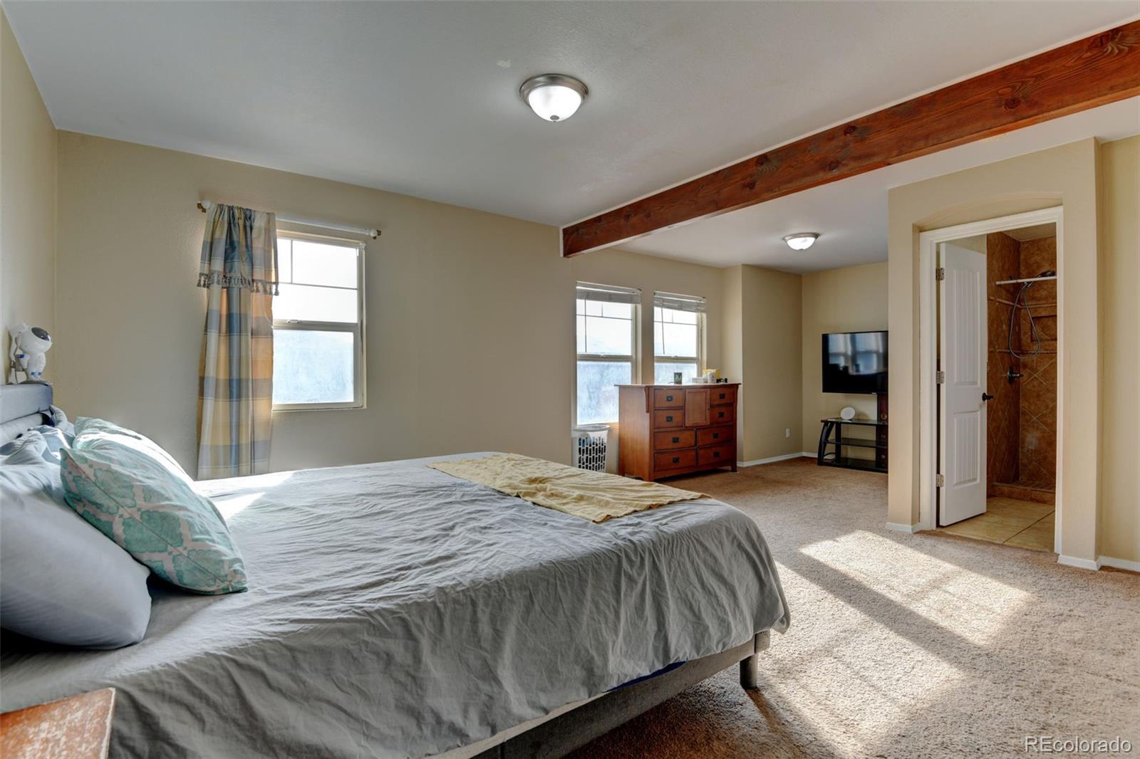 MLS Image #15 for 5555  perth court,denver, Colorado