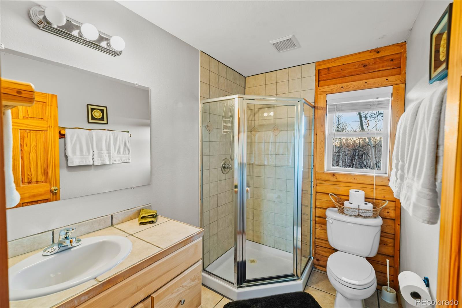 MLS Image #17 for 1026  warpath road,como, Colorado