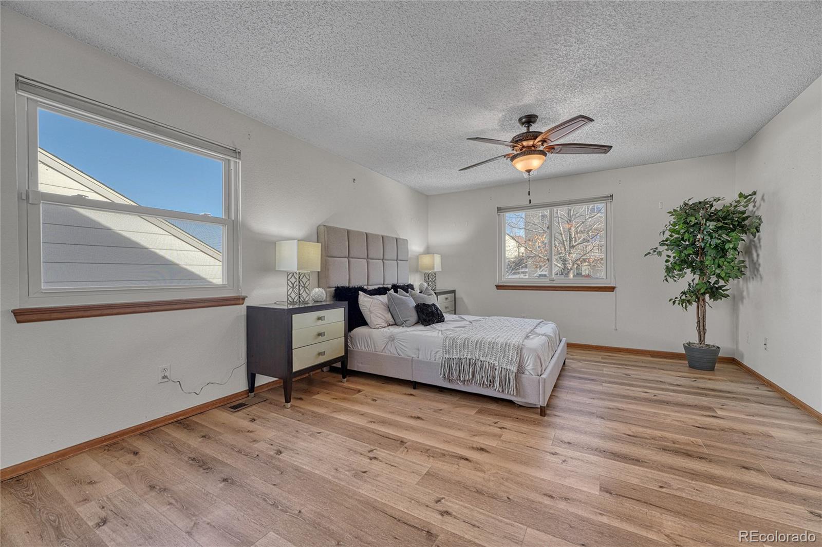 MLS Image #15 for 11042  blackwolf lane,parker, Colorado