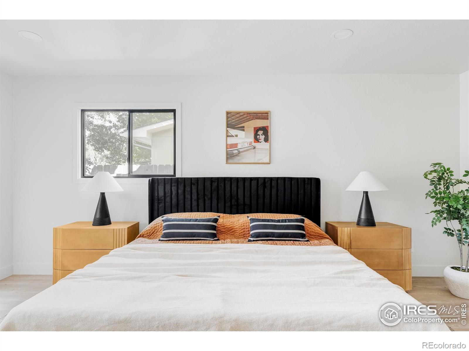 MLS Image #19 for 1112  robertson street,fort collins, Colorado