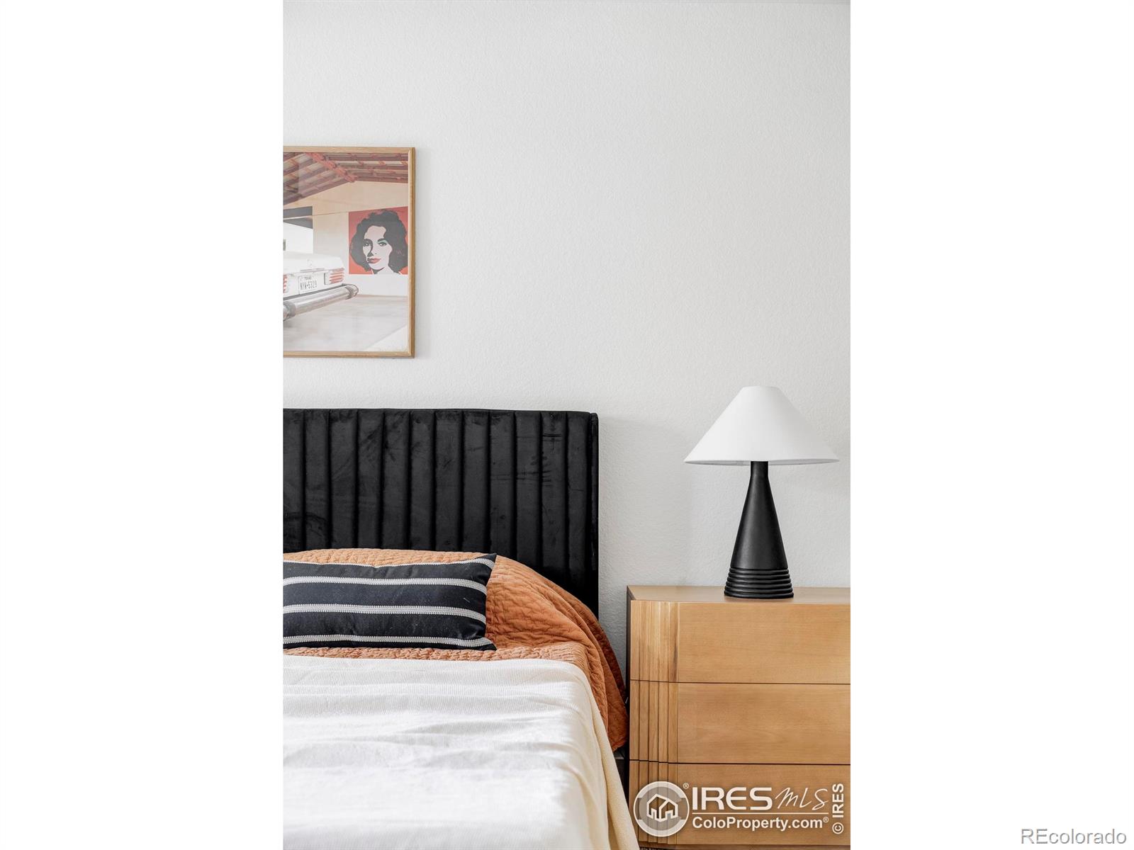 MLS Image #20 for 1112  robertson street,fort collins, Colorado