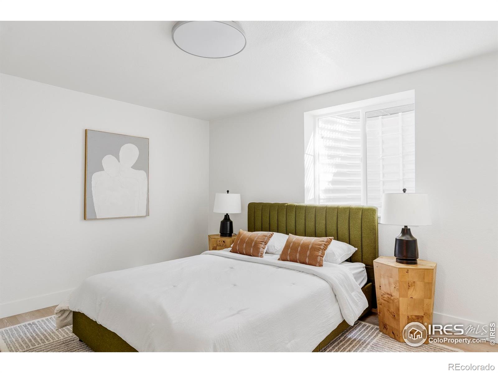 MLS Image #32 for 1112  robertson street,fort collins, Colorado