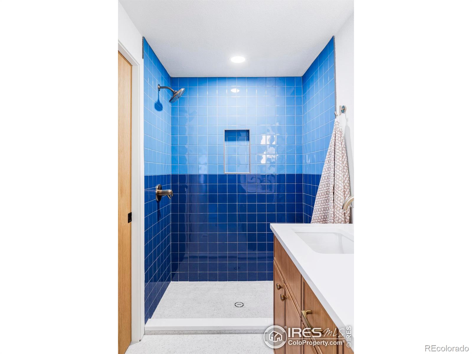 MLS Image #26 for 1305  green street,fort collins, Colorado