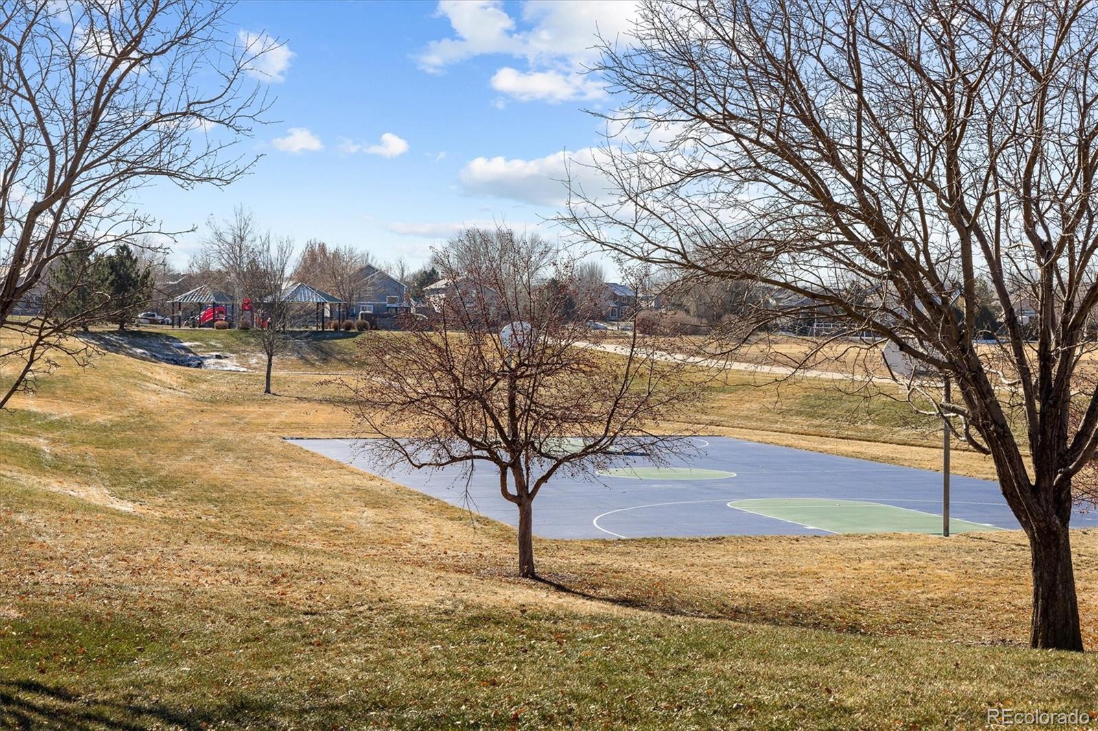 MLS Image #28 for 10653  farmdale street,firestone, Colorado