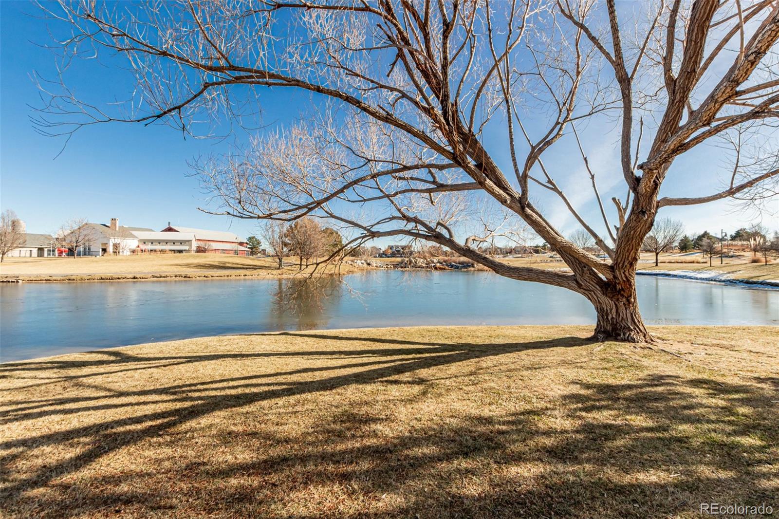 MLS Image #35 for 18050 e 104th place e,commerce city, Colorado