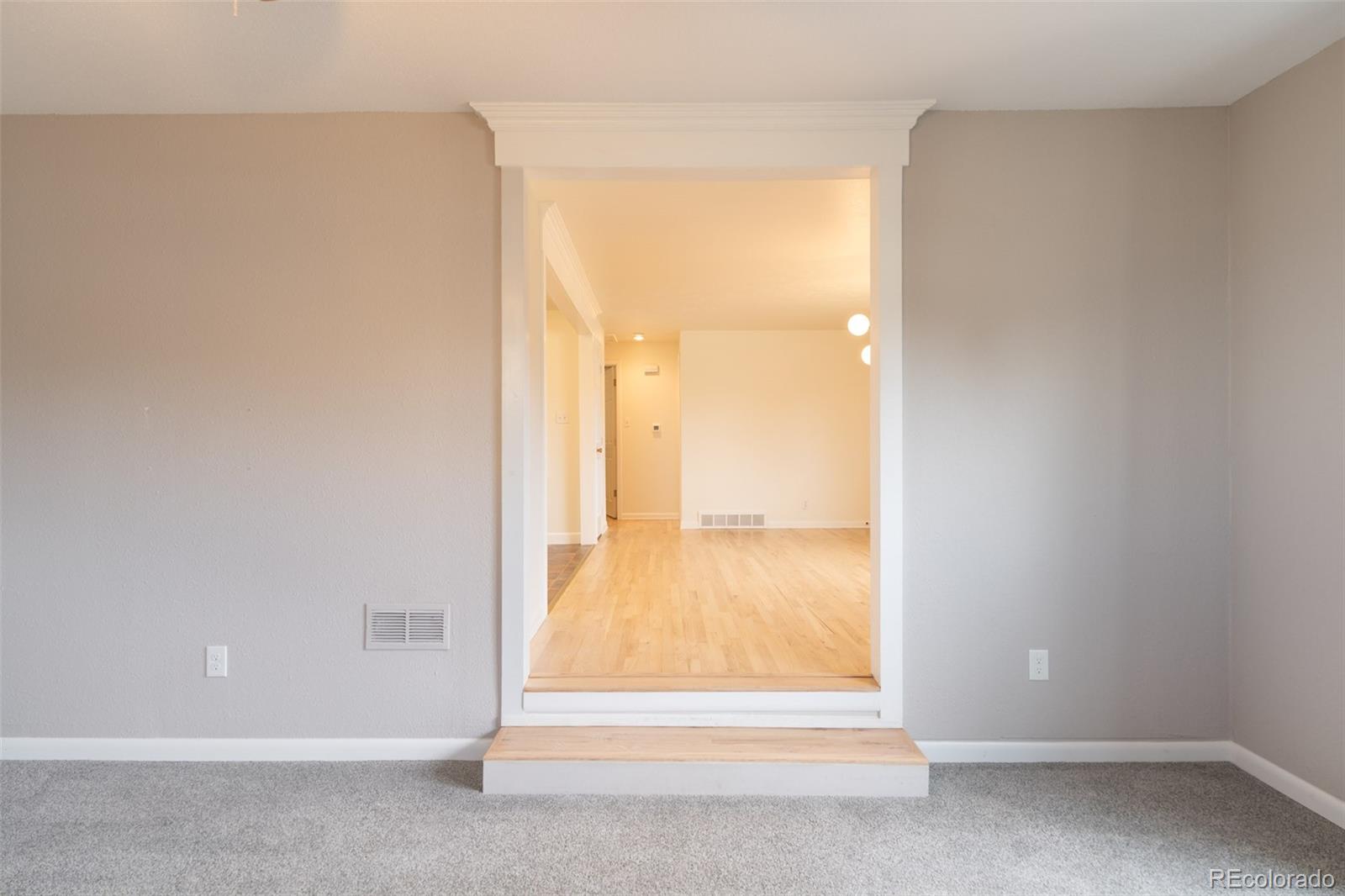 MLS Image #10 for 8268  loretta drive,denver, Colorado