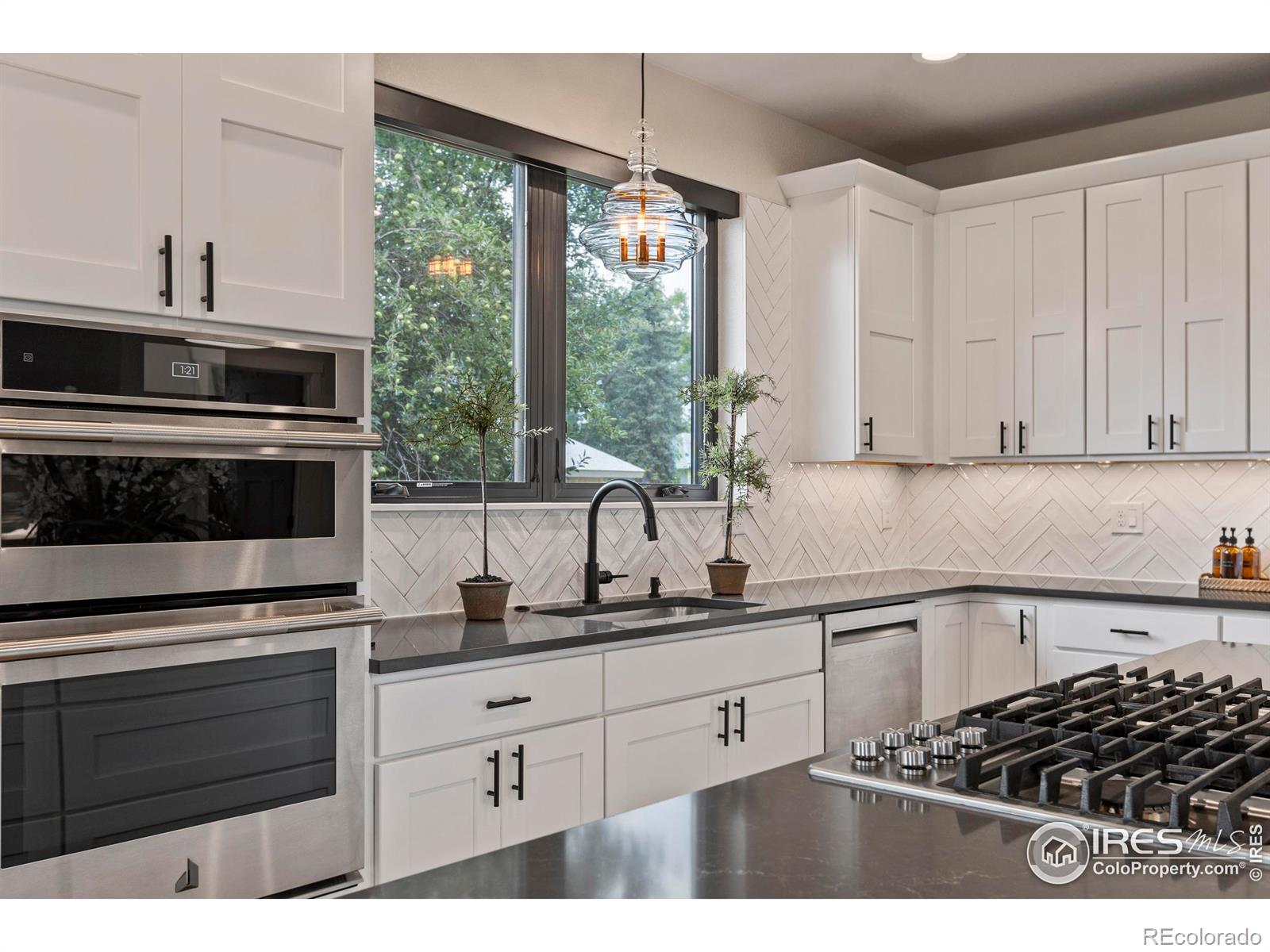 MLS Image #14 for 4306  dixon street,timnath, Colorado