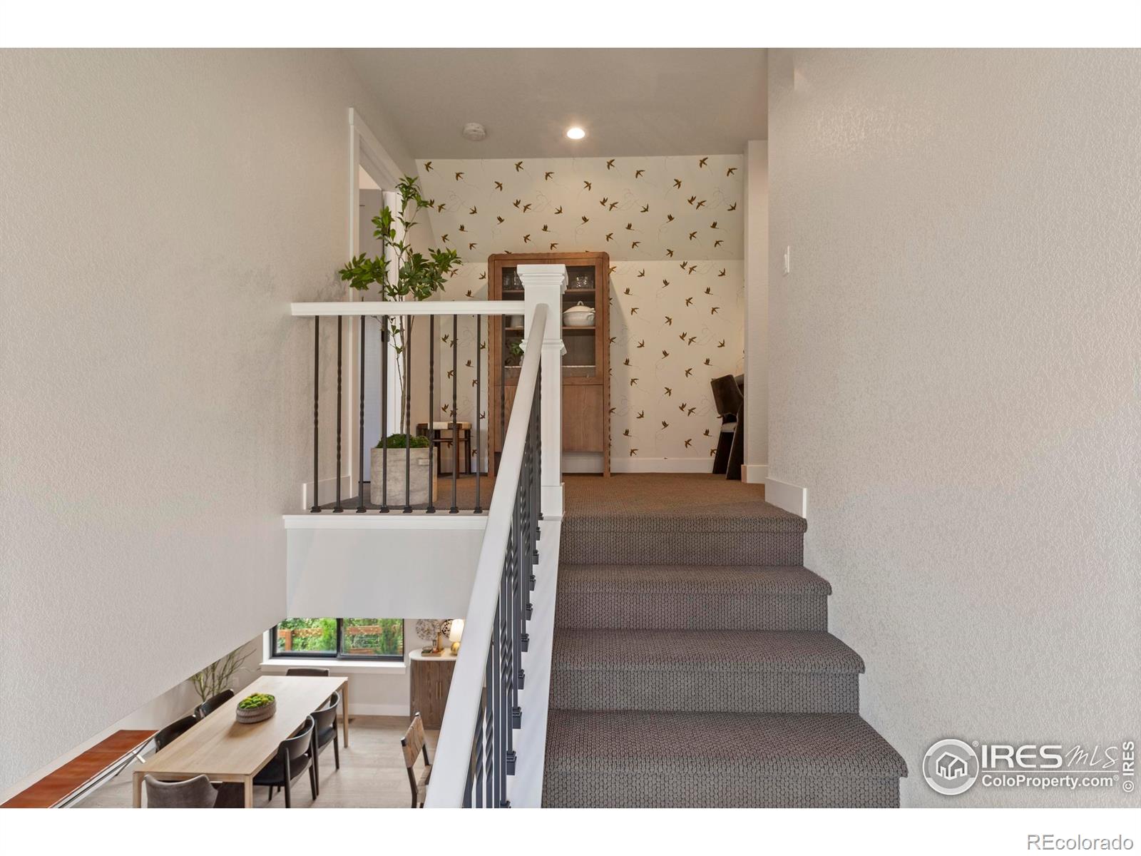 MLS Image #23 for 4306  dixon street,timnath, Colorado