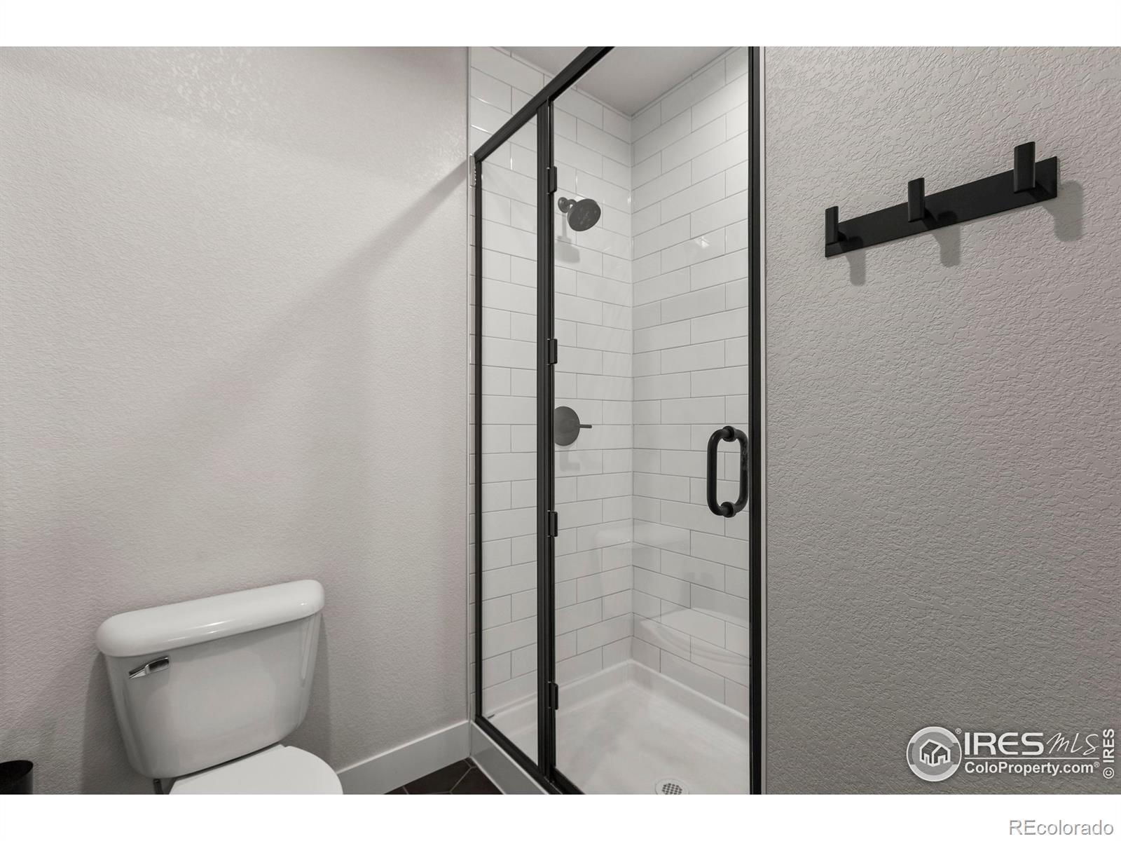 MLS Image #33 for 4306  dixon street,timnath, Colorado